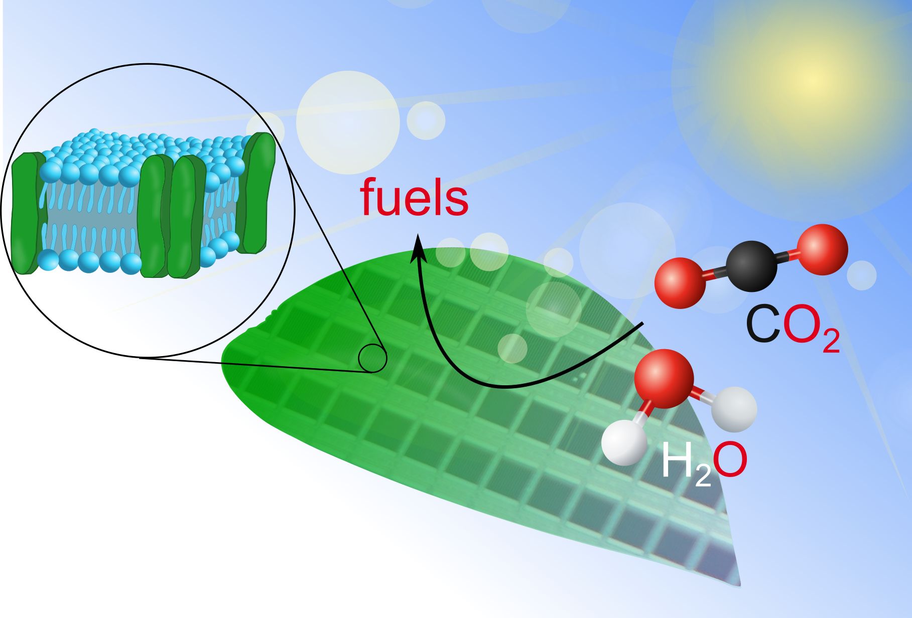 Artificial Photosynthesis