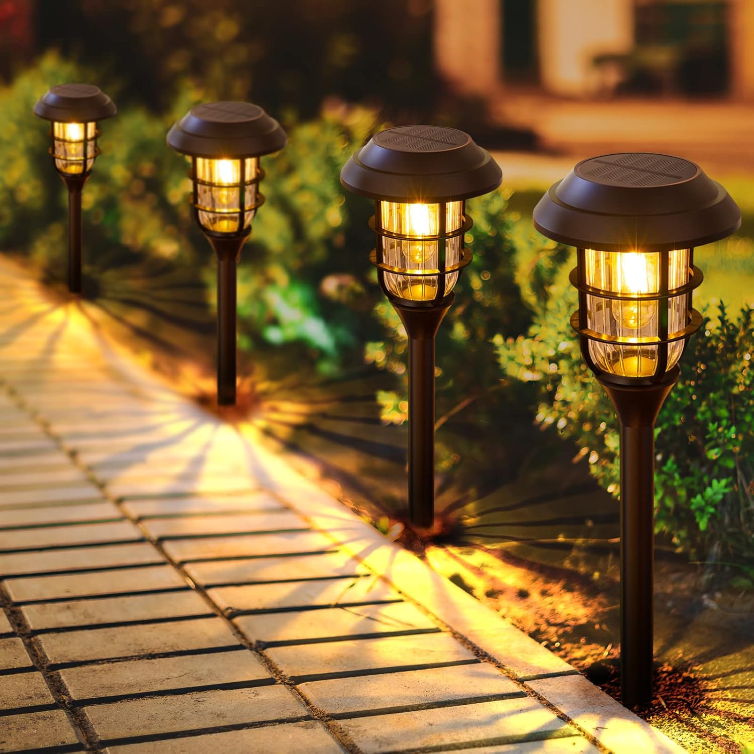 Solar Lighting